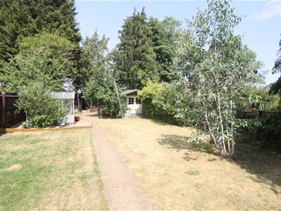 Picture 30